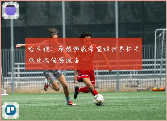 哈兰德：承载挪威希望的世界杯之旅让我倍感振奋
