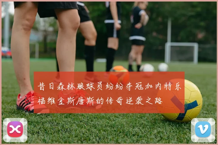 昔日森林狼球员纷纷夺冠加内特乐福维金斯唐斯的传奇逆袭之路